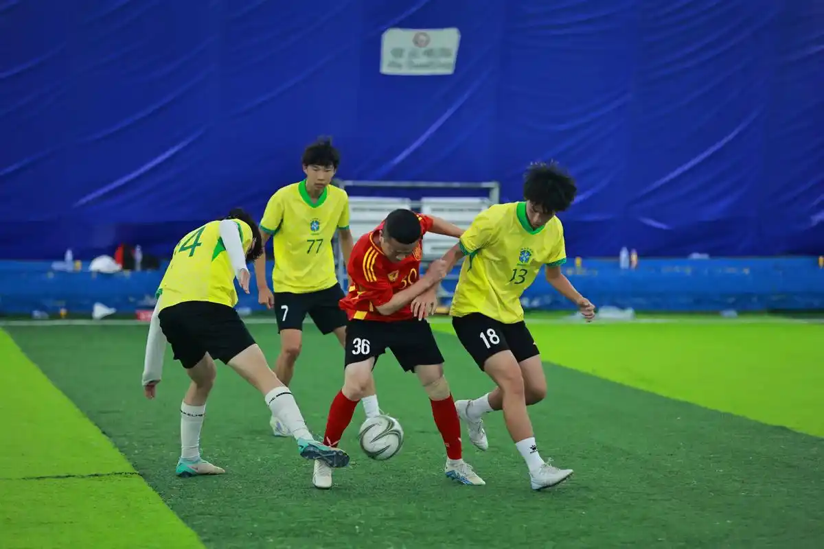 雨燕免费观看nba直播